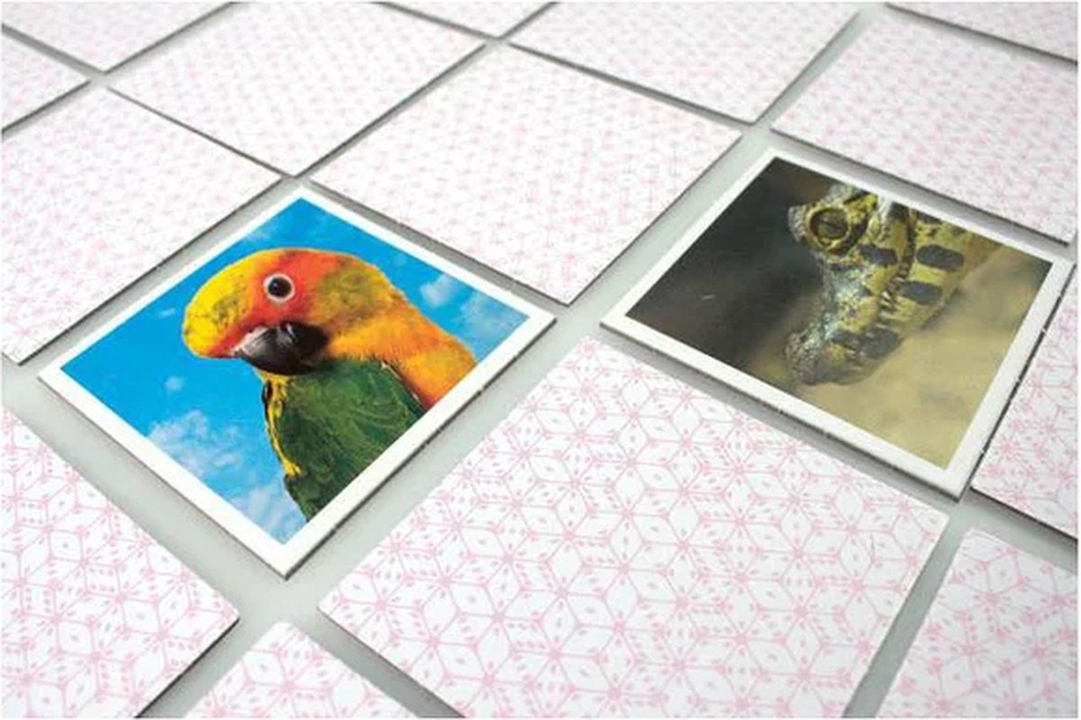 Tactic Memory - Kaartspel - Memo - Babydieren