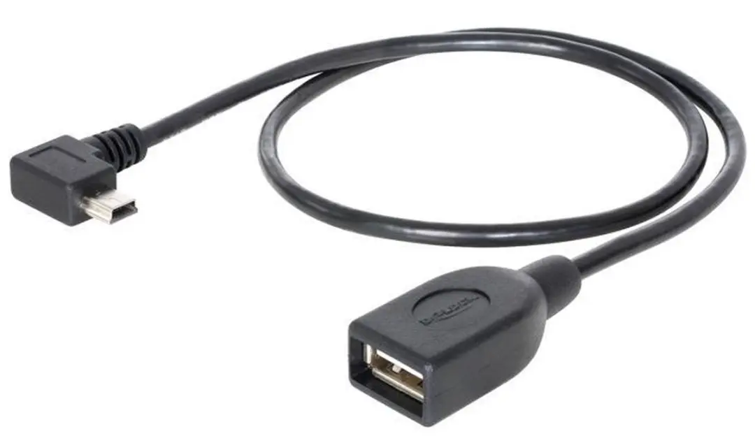 Delock USB 2.0 A Male naar Mini Male Kabel - 50m - Zwart