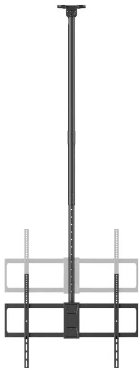 Reflecta PALLAS 100-8060T TV-plafondbeugel 254cm