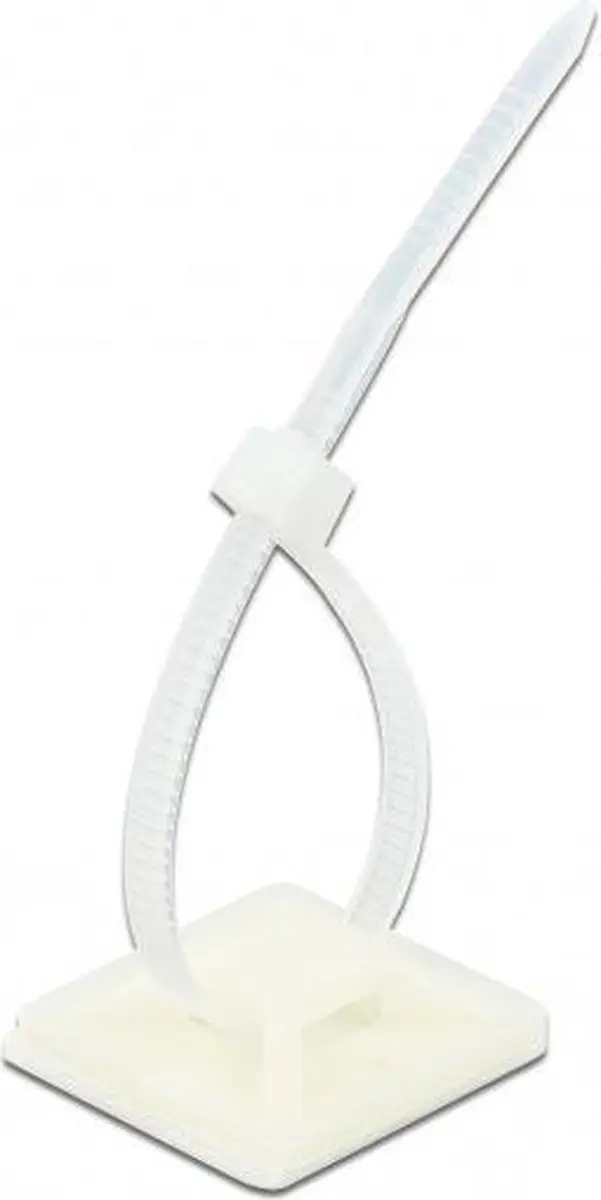 Delock Tie-wraps 200x4,8mm - 20 Stuks - Transparant