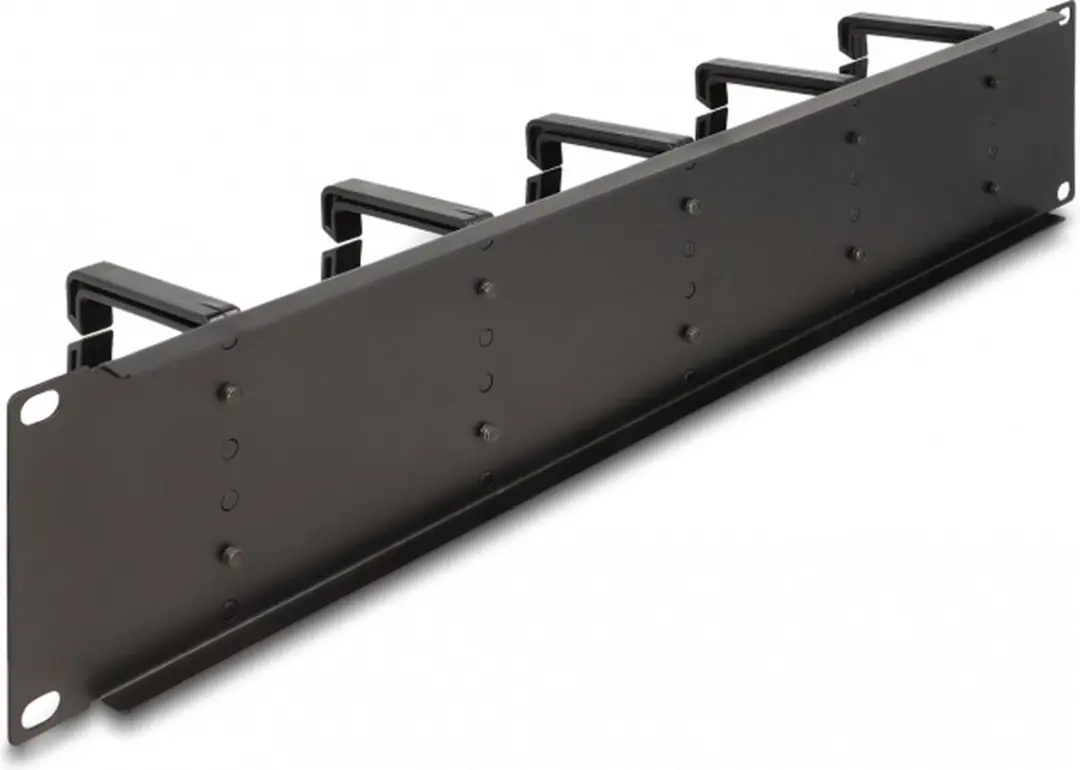 Delock 19" Kabelmanagement Routingpaneel 2U - 10 Haakjes - Zwart