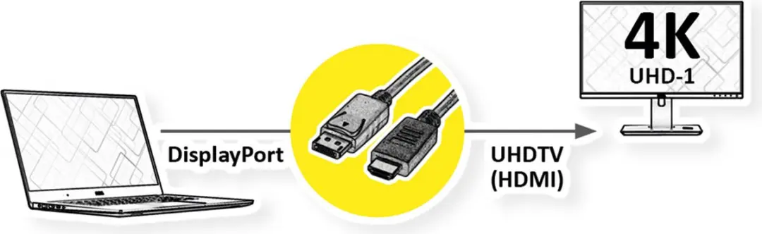 Roline DisplayPort Kabel DP 1m - 10 Stuks