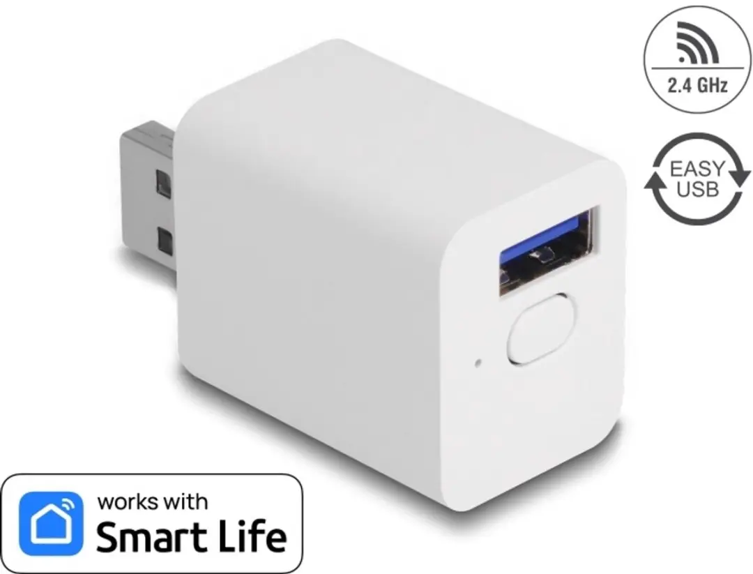Delock WLAN EASY-USB Switch Smart Life