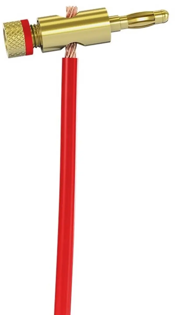Goobay Banaanconnector 5,5mm - Goud - 1 Stuk