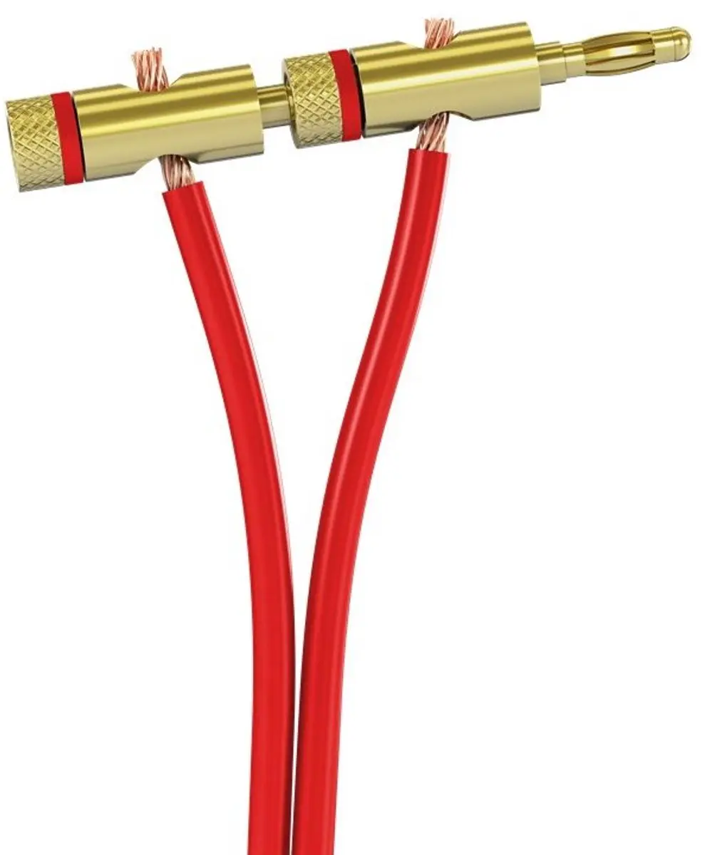 Goobay Banaanconnector 5,5mm - Goud - 1 Stuk
