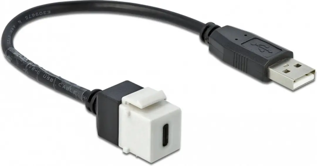 Delock USB-C Keystone Module USB-A 2.0 Wit - 0,25m