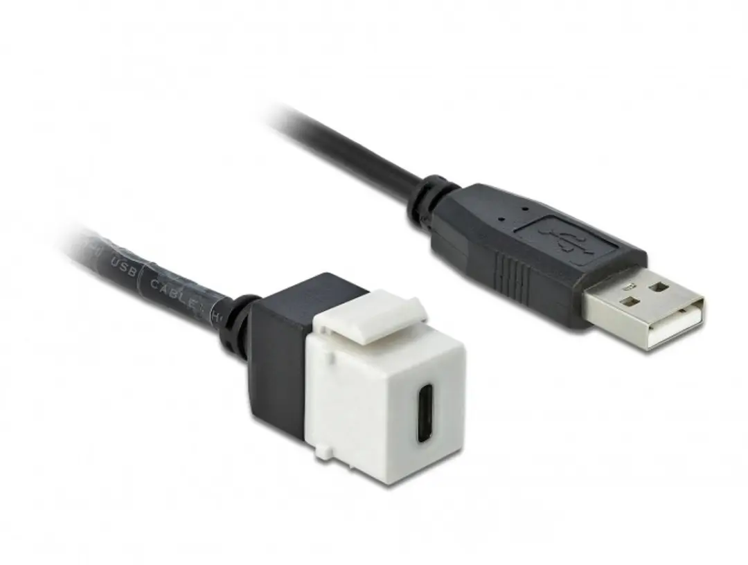 Delock USB-C Keystone Module USB-A 2.0 Wit