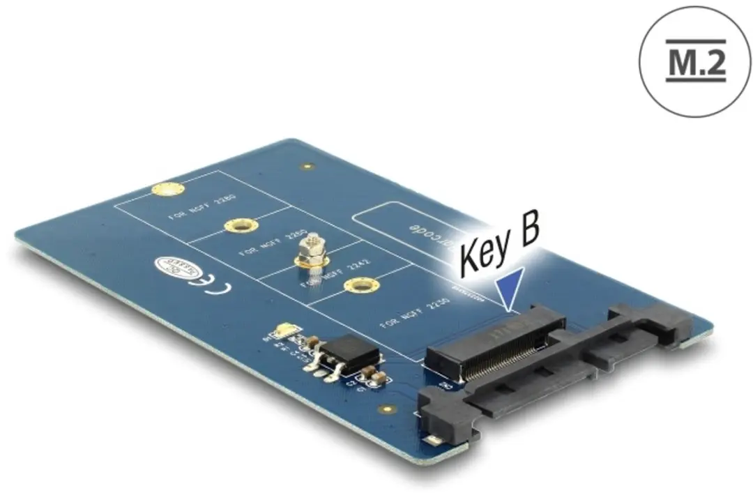 Delock SATA 22 Pin naar M.2 Converter