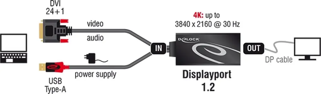 Delock DVI naar DisplayPort Adapter 4K 30Hz - 0,30m - Zwart