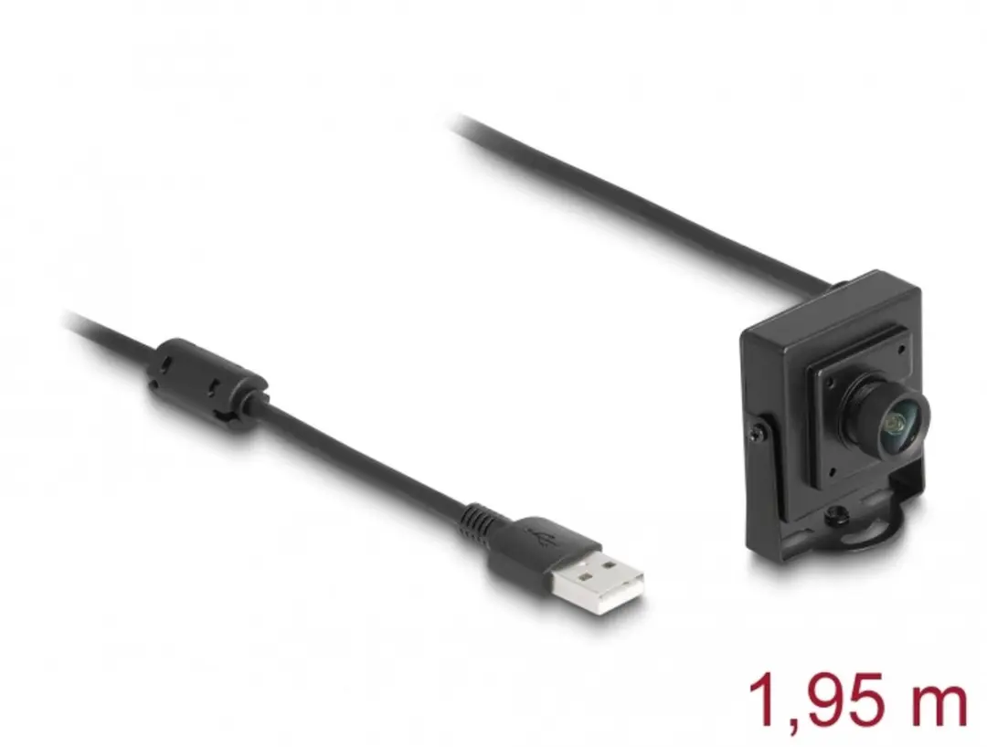 Delock USB 2.0 Camera 2.1MP - 100° - Zwart