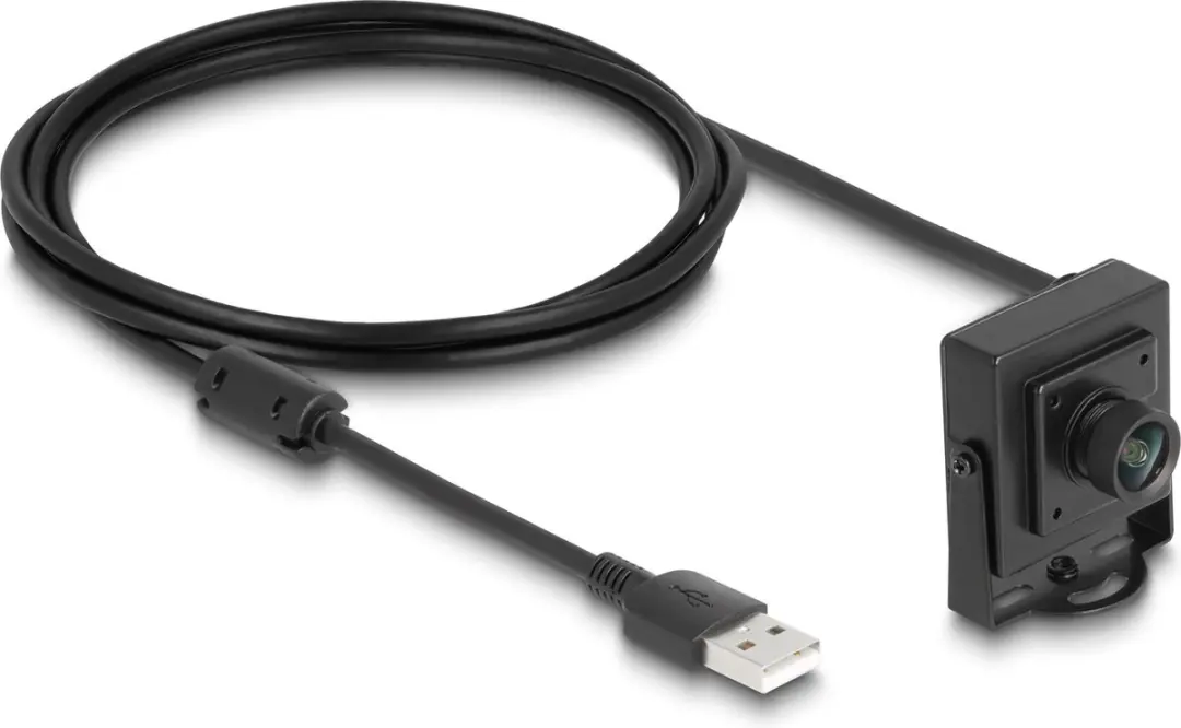 Delock USB 2.0 Camera 2.1MP