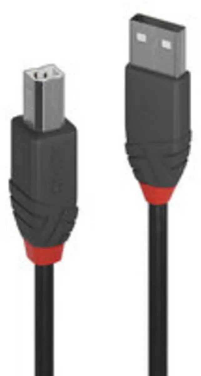 Lindy USB 2.0 Printerkabel AM/MB 5m - Zwart