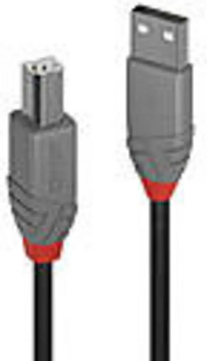 Lindy USB 2.0 Printerkabel AM/MB 5m - Zwart
