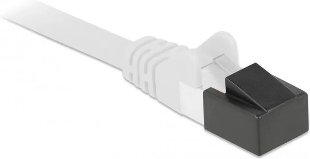 Delock RJ45 Afsluitdoppen 10 Stuks - Zwart
