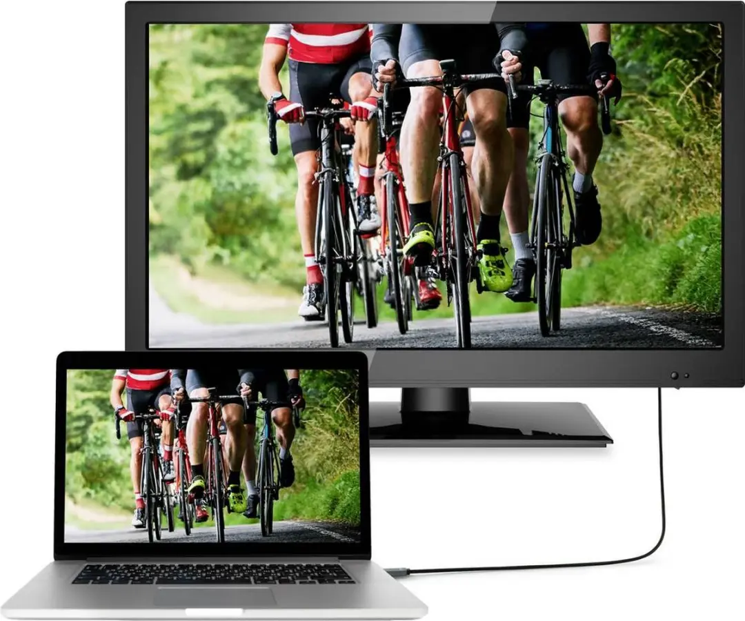 SpeaKa Professional SP-8993892 DisplayPort-kabel - Zwart