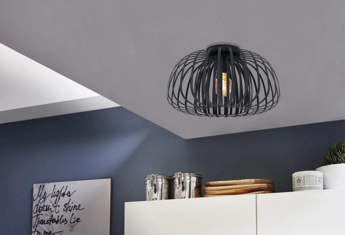 Eglo Encinitos Plafondlamp E27 - Ø45cm - Zwart