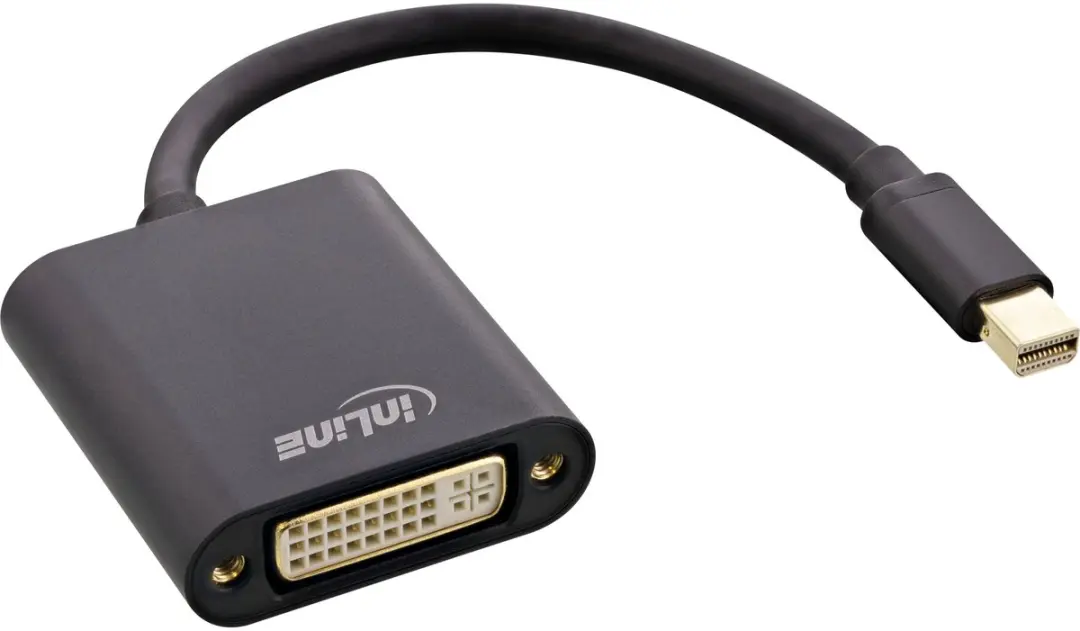 InLine Mini DisplayPort naar DVI Adapter - 0,15m - Zwart