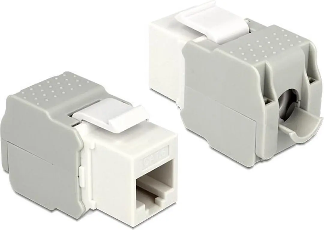 Delock UTP CAT6 Keystone Module RJ45 - LSA - Wit