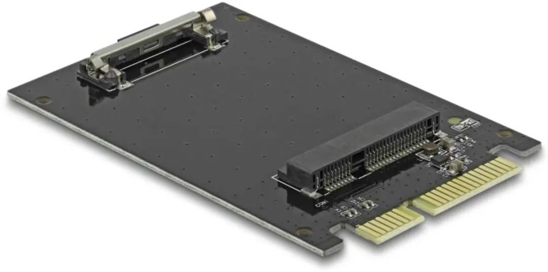 Delock SATA naar mSATA Adapter