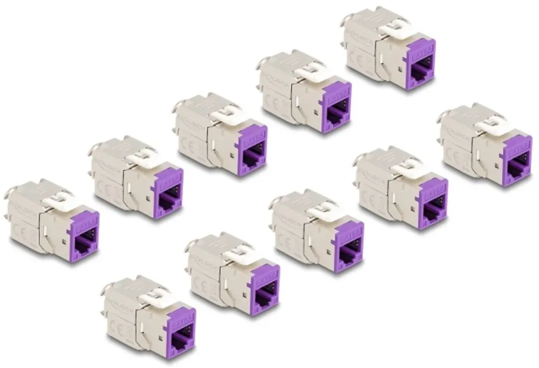 Delock Keystone RJ45 LSA Cat.6A Violet