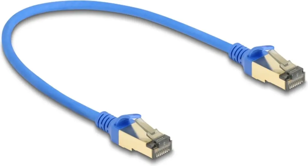 Delock RJ45 Cat.8.1 Kabel 0.3m - Blauw