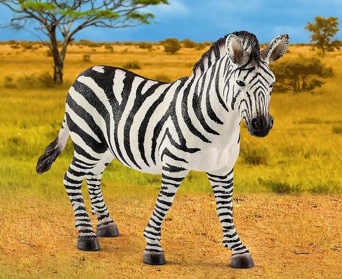 Schleich Wild Life - Zebra Vrouwtje, Figuur voor Kinderen 3+
