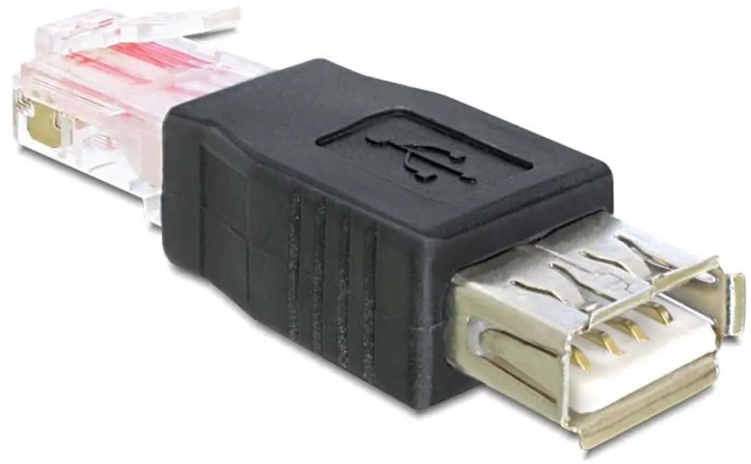 Delock USB 2.0 naar RJ45 Adapter