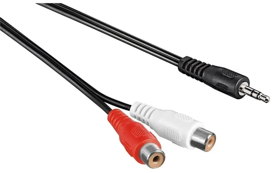 InLine Adapterkabel 3,5mm Jack naar 2xRCA - 3m - Zwart
