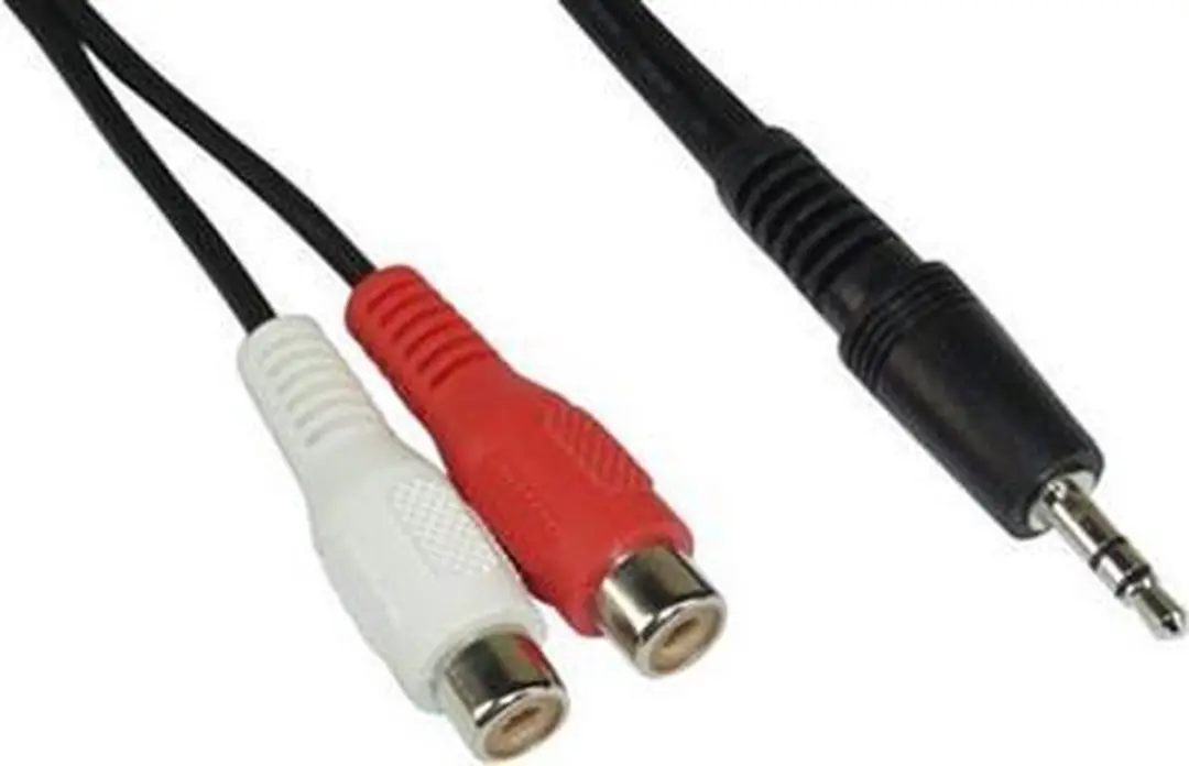 InLine Adapterkabel 3,5mm Jack naar 2xRCA - 3m - Zwart