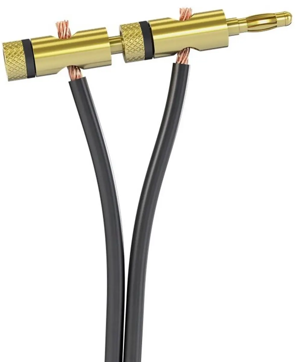 Goobay Banaanconnector OKS-56730 - Goud - 5,5 mm