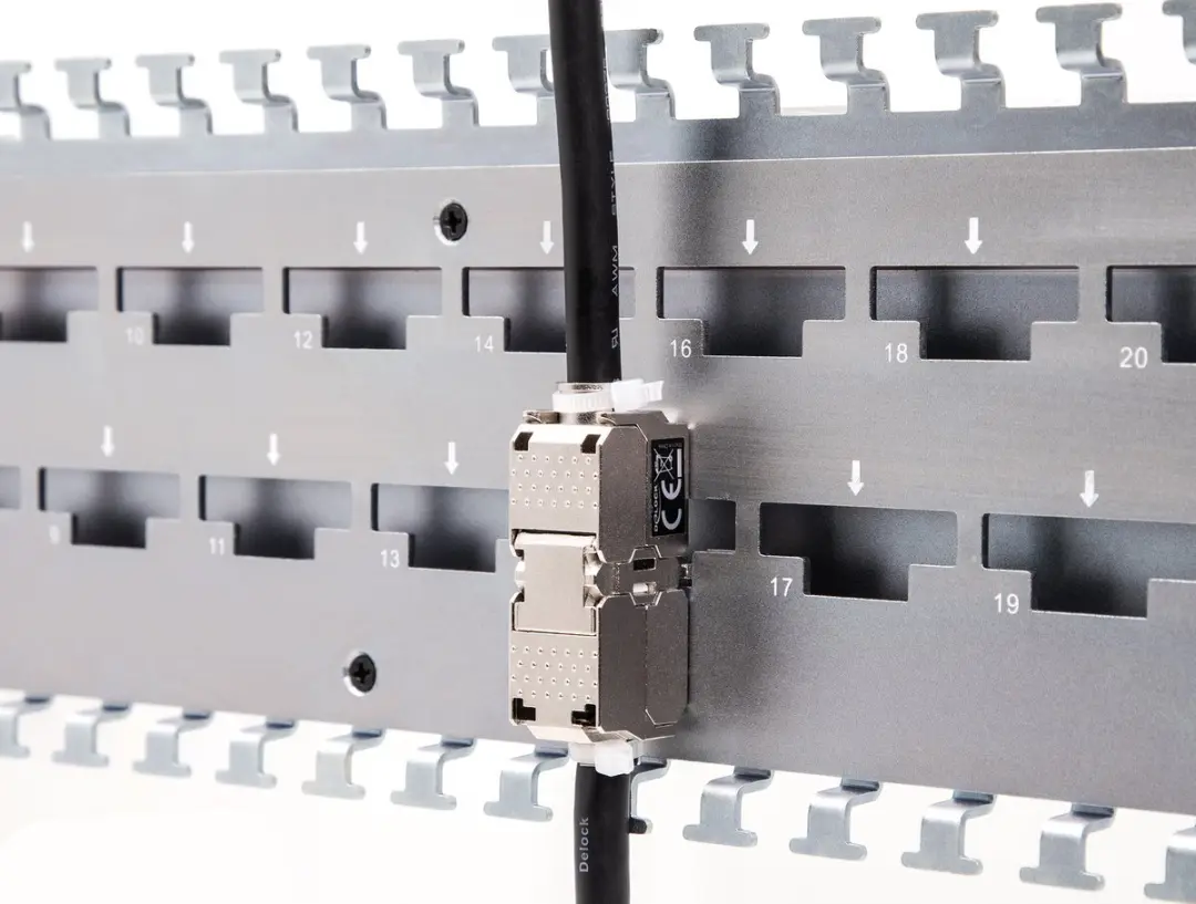 Delock 19" Kabelsteunrail 24 Poorten LSA - Grijs