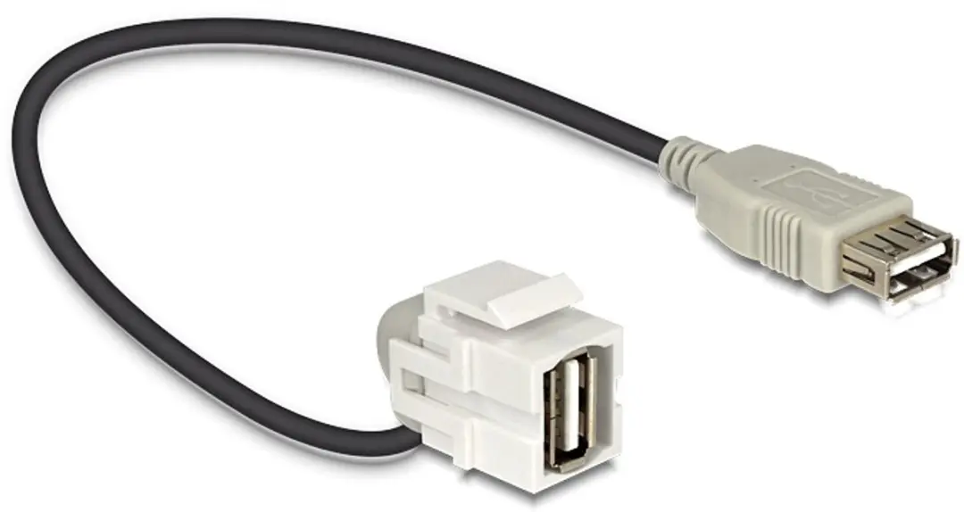 Delock Keystone USB2.0 Module USB-A Haaks