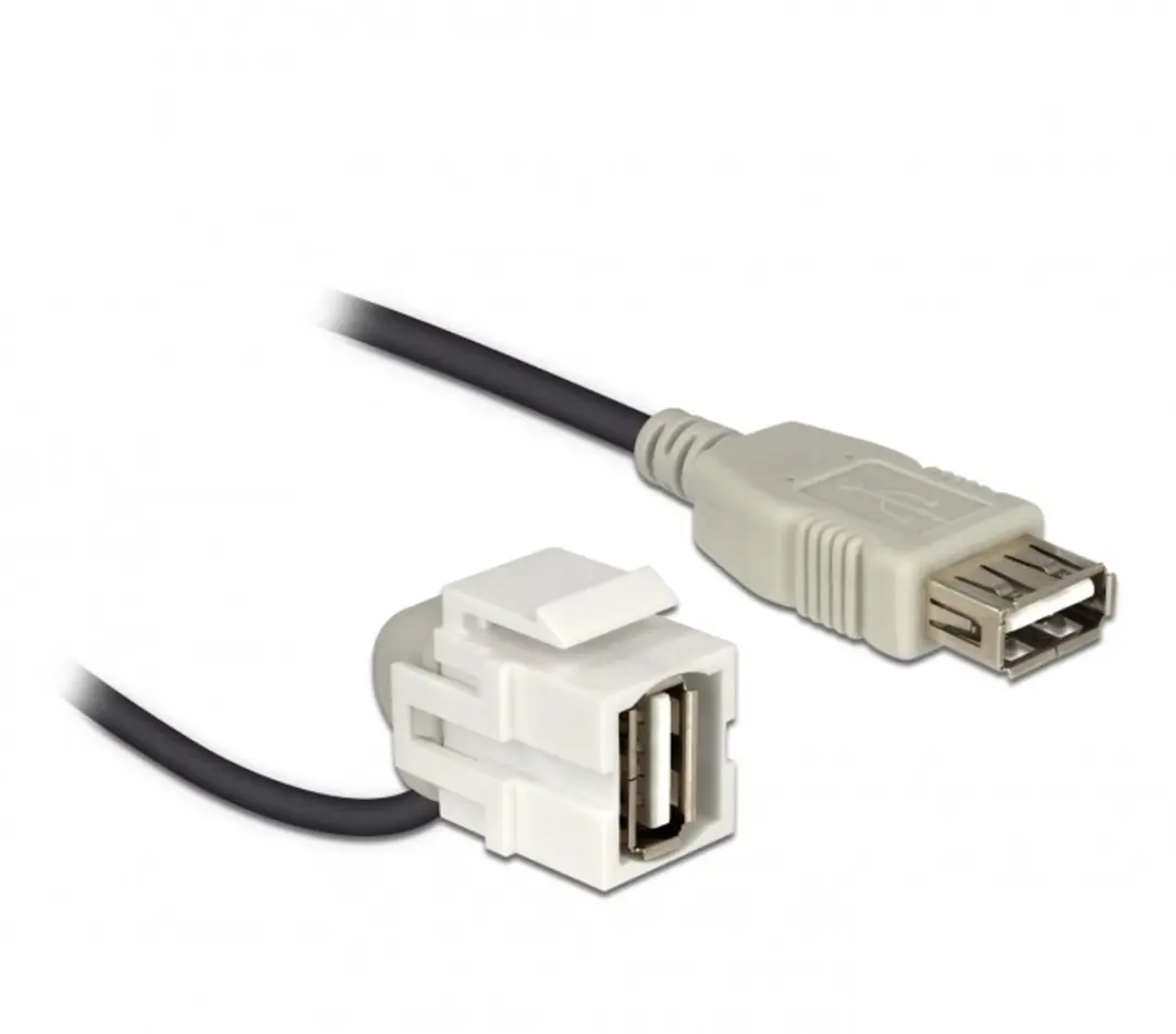 Delock Keystone USB2.0 Module USB-A Haaks - 0,20m - Wit/Zwart
