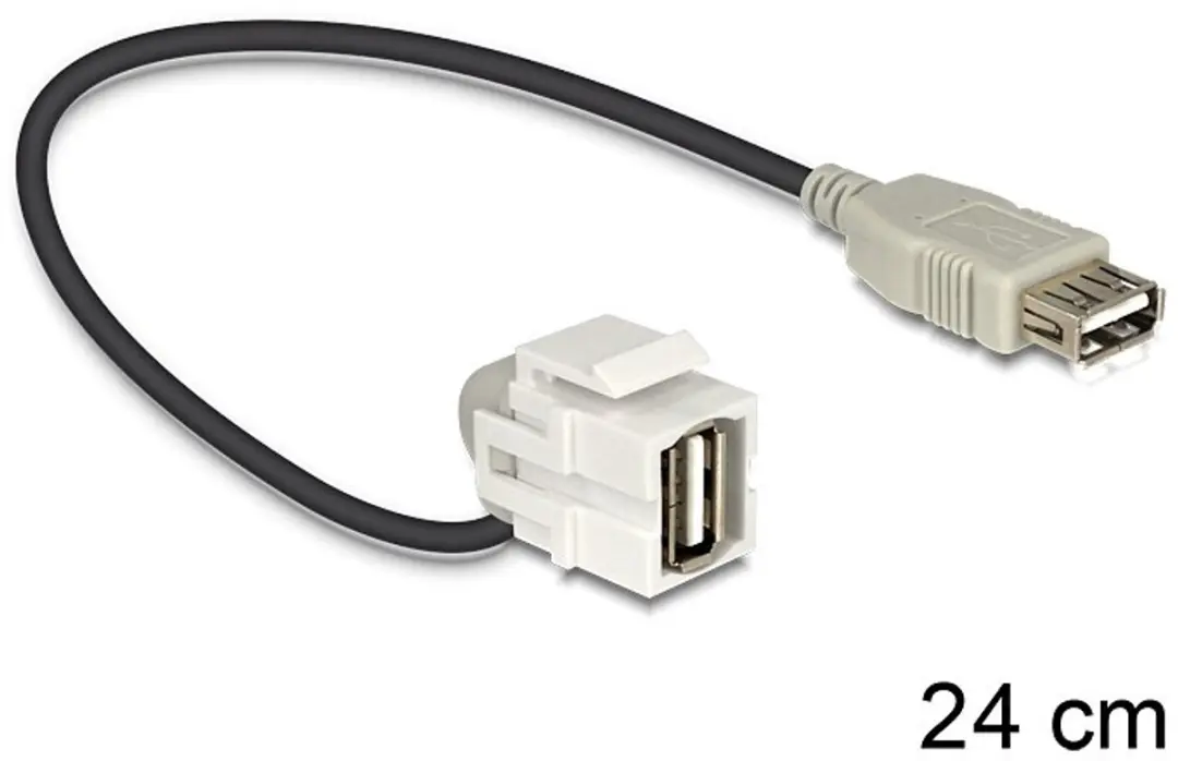 Delock Keystone USB2.0 Module USB-A Haaks - 0,20m - Wit/Zwart