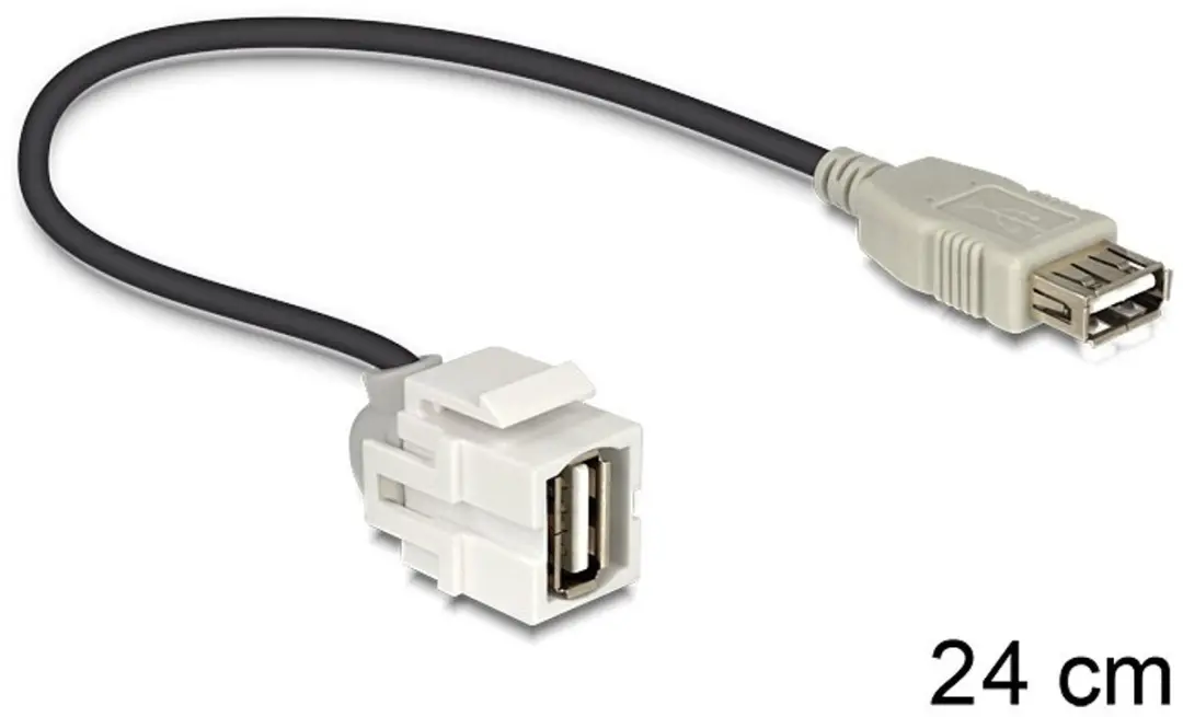Delock Keystone USB2.0 Module USB-A Haaks - 0,2m - Wit/Zwart