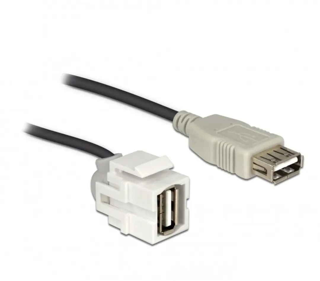 Delock Keystone USB2.0 Module USB-A Haaks - 0,2m - Wit/Zwart