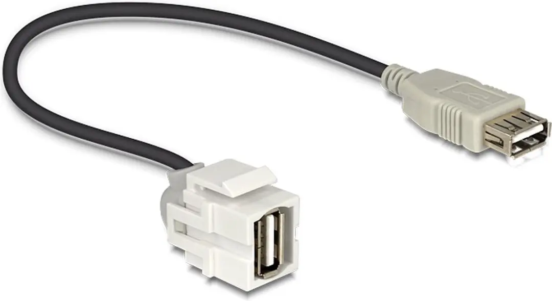 Delock Keystone USB2.0 Module USB-A Haaks