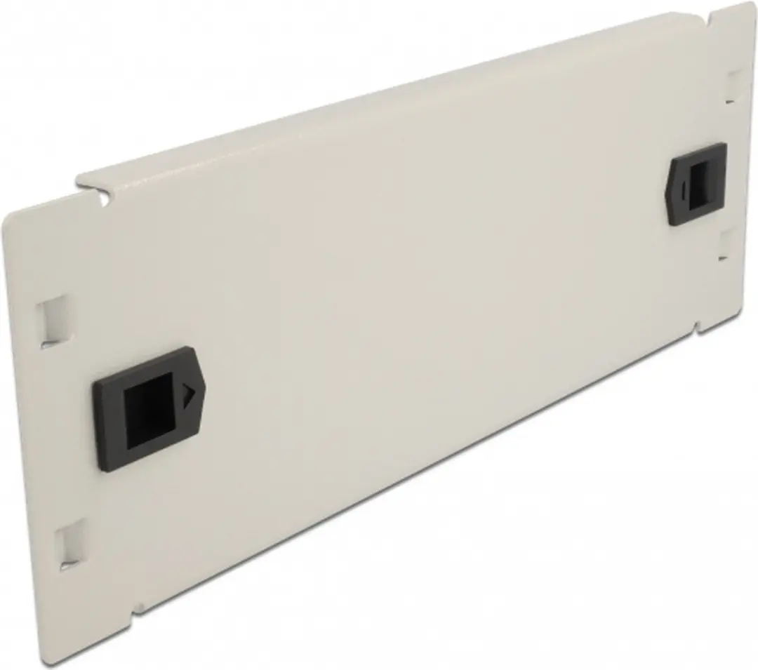 Delock 10 inch Blindpaneel 2U Grijs
