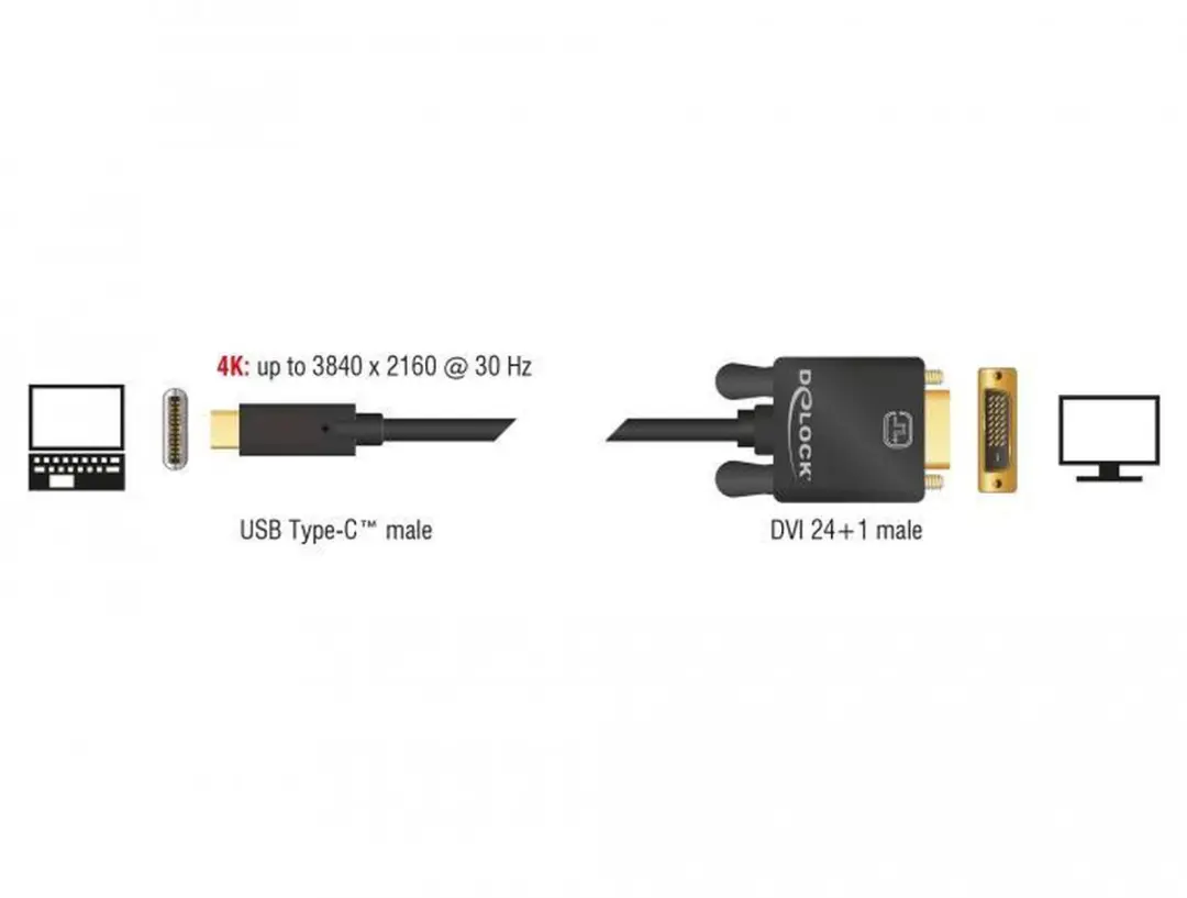 Delock USB-C naar DVI Kabel 4K 30Hz - 2m - Zwart