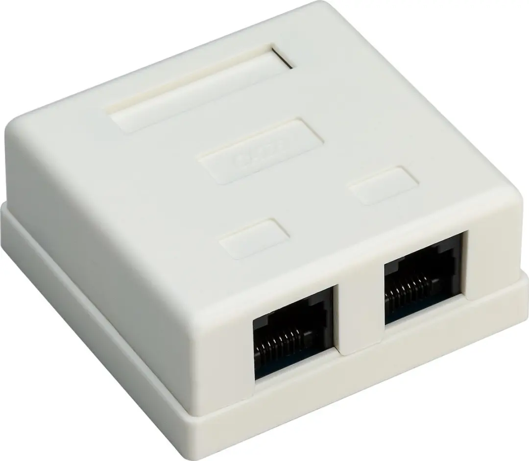 Goobay CAT6 Netwerkuitvoerdoos 2x RJ45