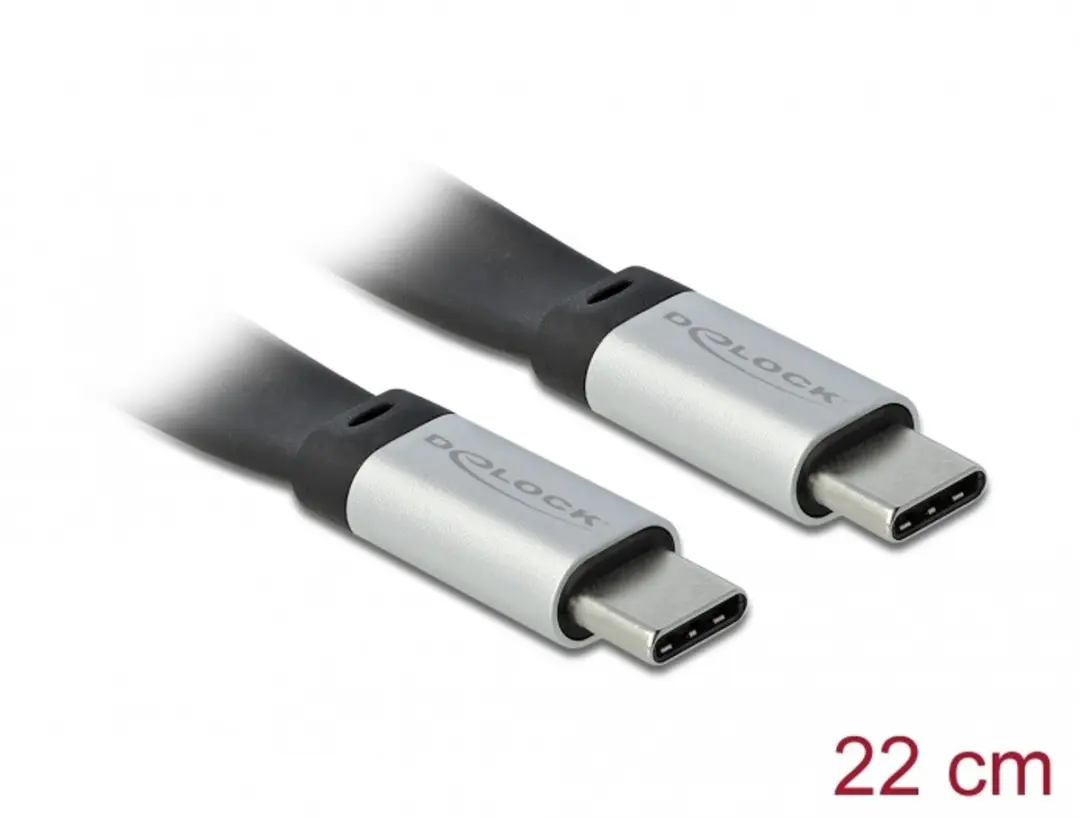 Delock USB 3.2 Gen 2 Type-C naar Type-C 22cm