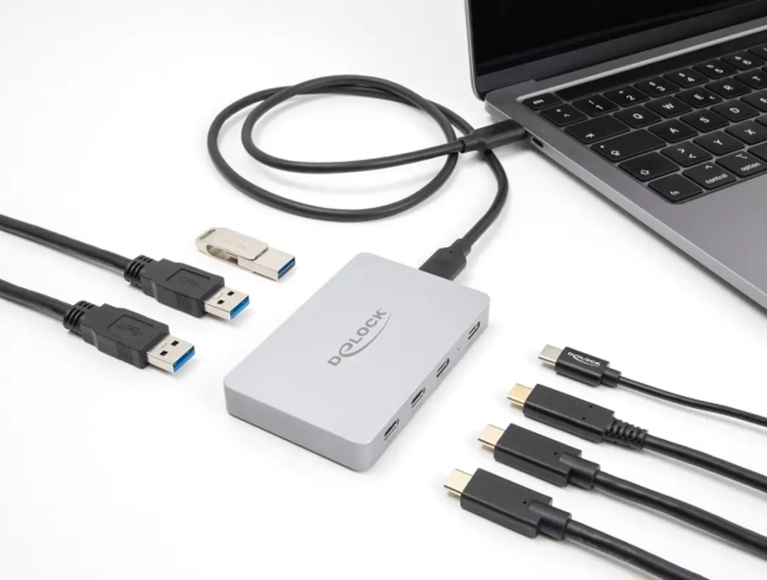 Delock 7-Ports USB Hub 64279 - Grijs