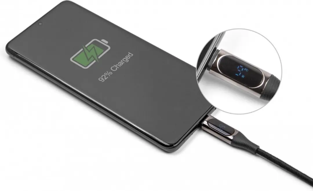Delock USB-C naar USB-C Kabel 100W PD 3.0 - 2m - Zwart