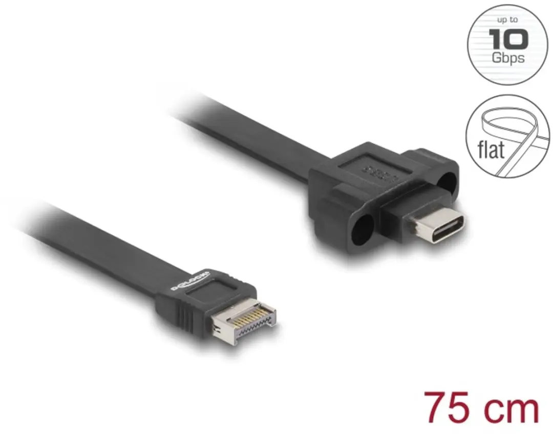 Delock USB 10Gbps Type-E naar Type-C Flat Kabel 75cm