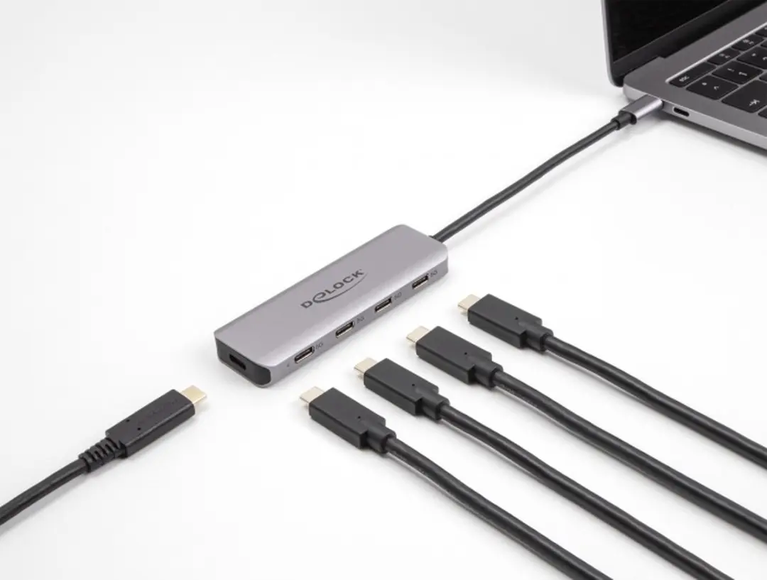 Delock 64238 USB-C Hub 4 Poorten - Grijs