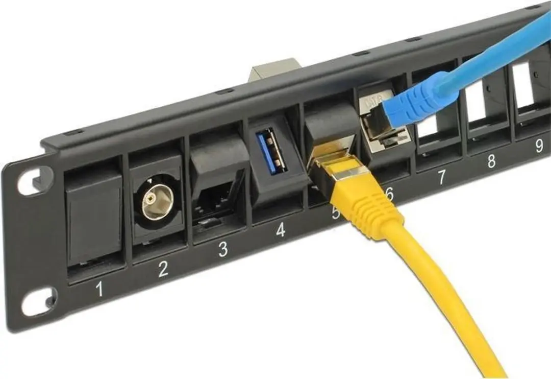 Delock 19" Patch Panel 1U 24x Keystone - Zwart