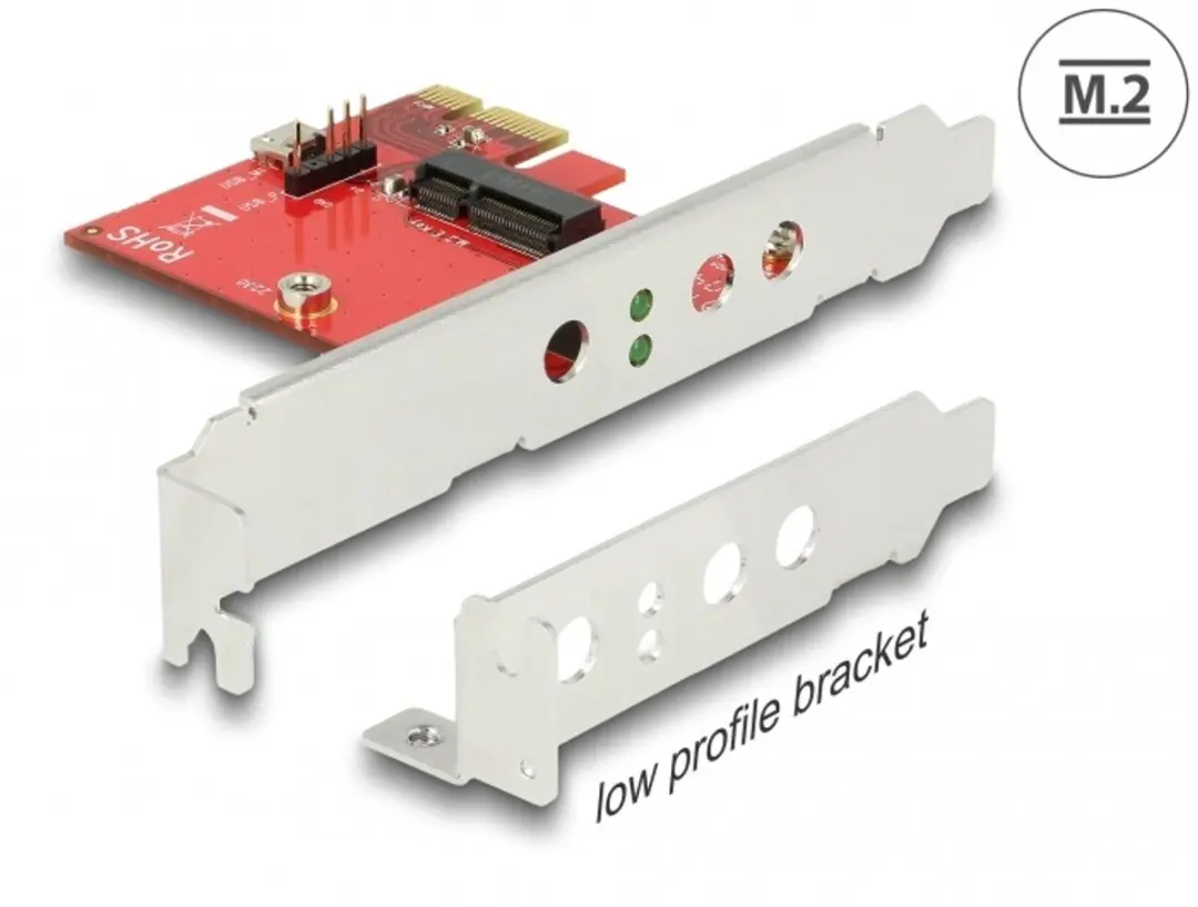 Delock PCIe Kaart M.2 Key E