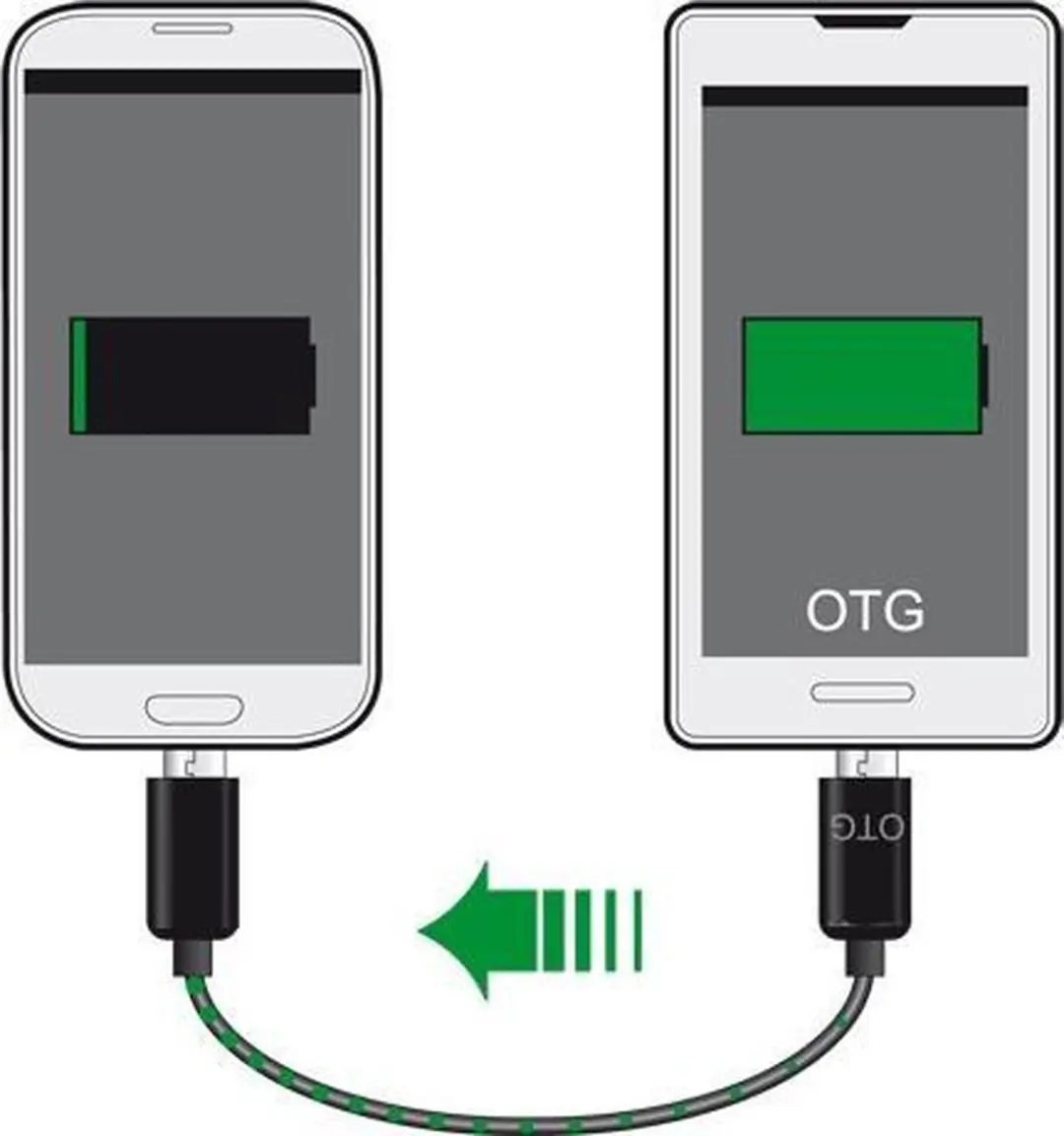 Delock USB 2.0 Micro naar Micro Kabel 0.3m - Zwart