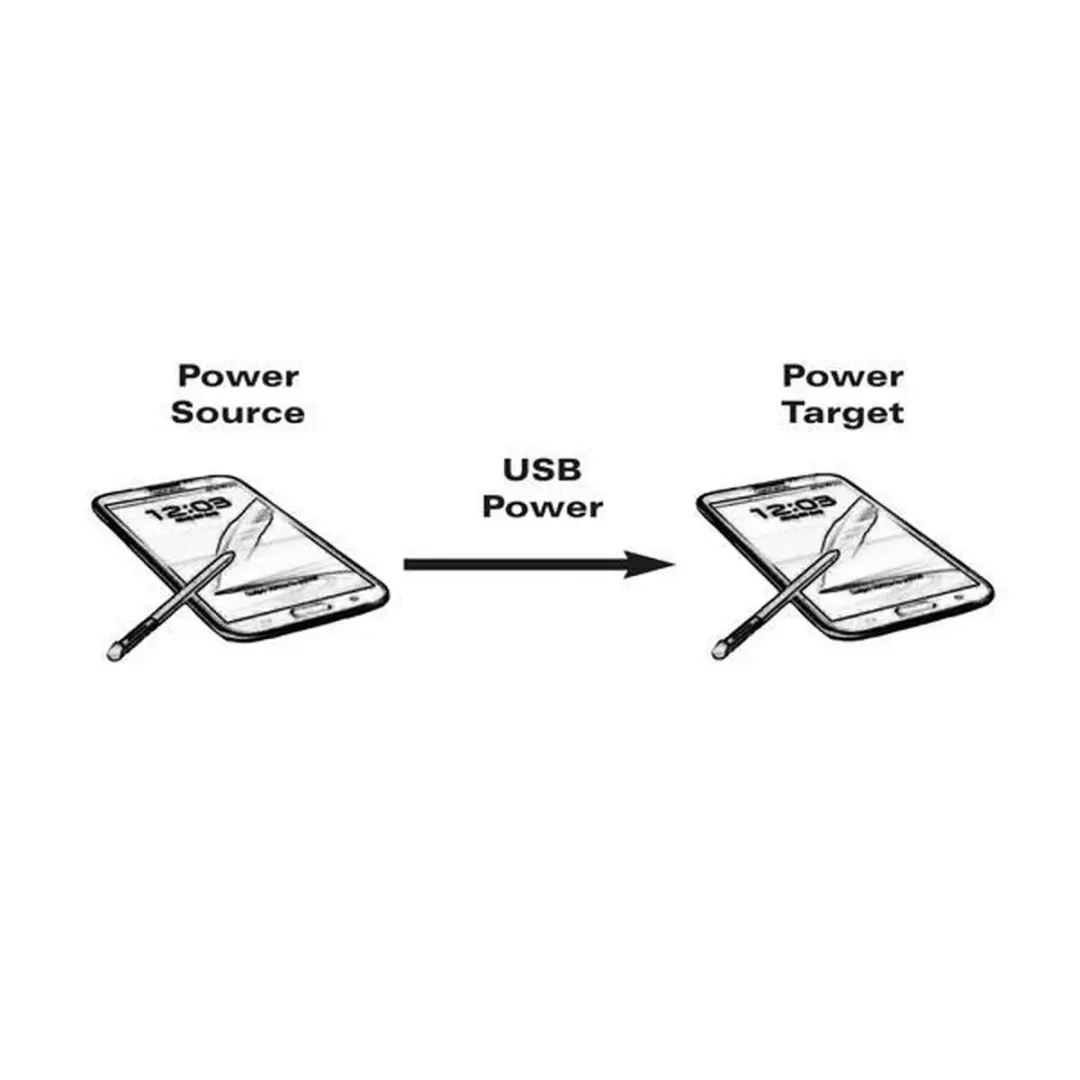 Delock USB 2.0 Micro naar Micro Kabel 0.3m - Zwart