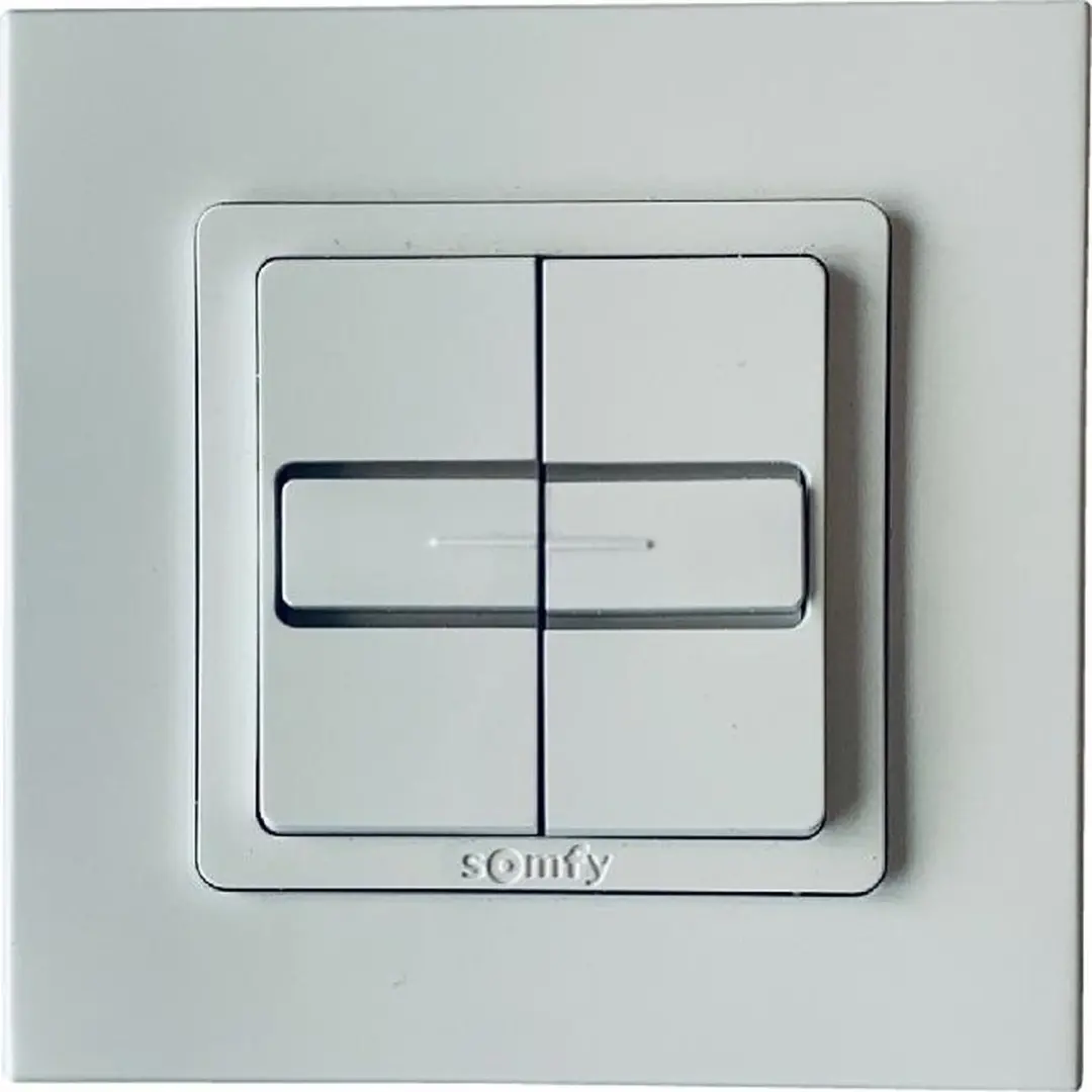 Somfy Inis Duo Inbouw Drukknop